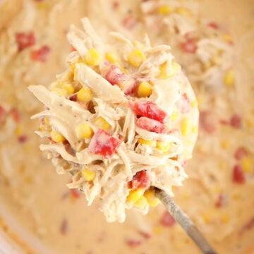 Ladle with Chicken Corn Chowder.