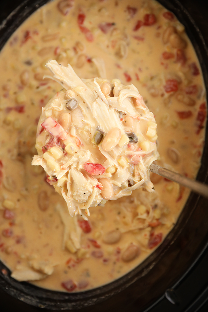 Scoop of Slow Cooker Chicken Stew.