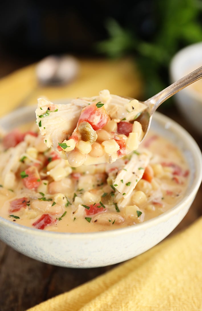 Spoonful of Slow Cooker Chicken Stew.