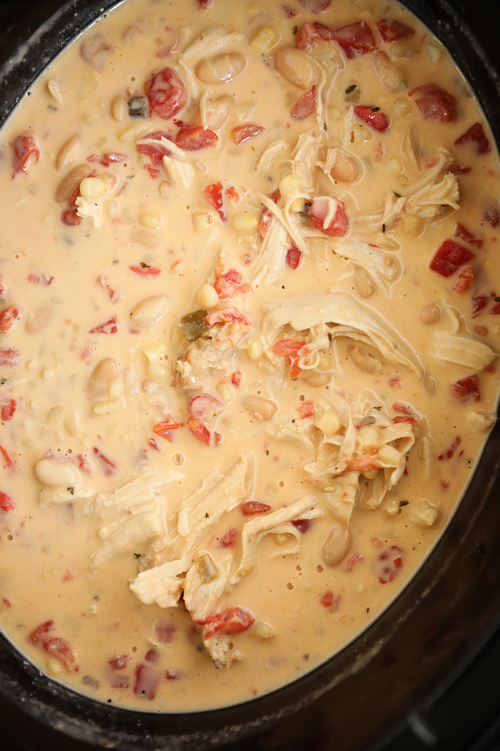 Crokcpot with Slow Cooker Chicken Stew in it.
