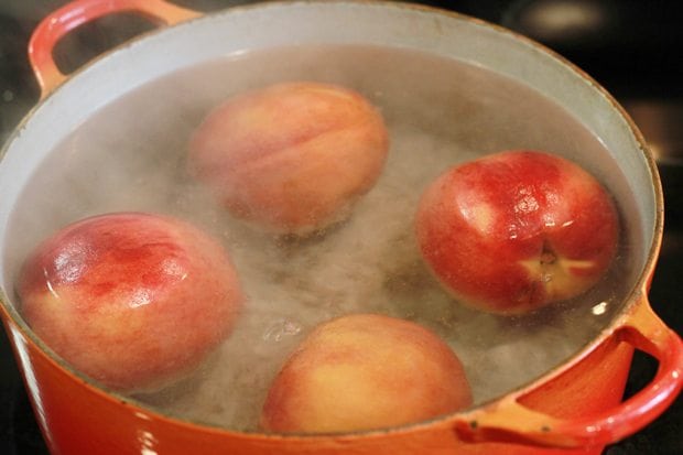peaches in pot