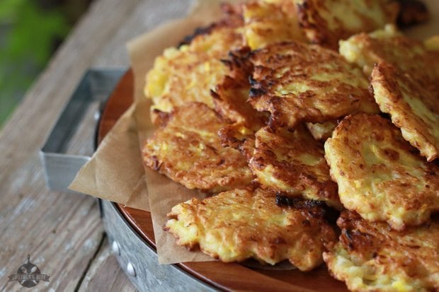 Squash Fritters