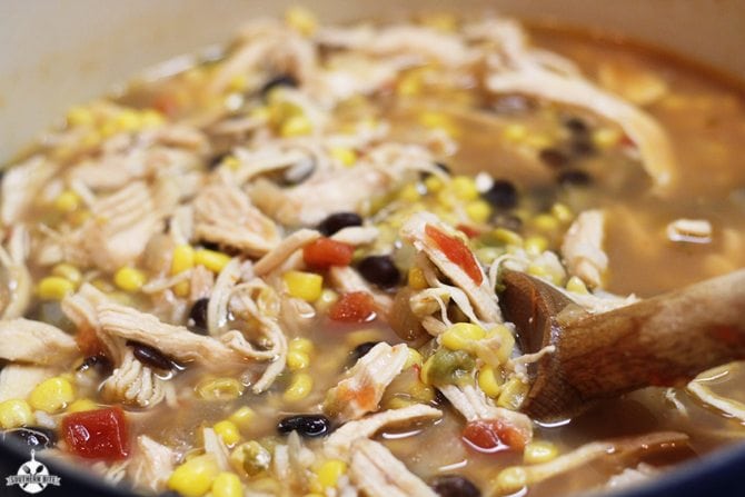 Pot of Fiesta Chicken Soup