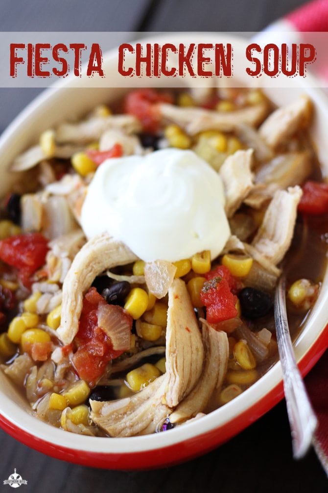 Bowl of Fiesta Chicken Soup