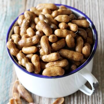Bowl of Slow Cooker Boiled Peanuts