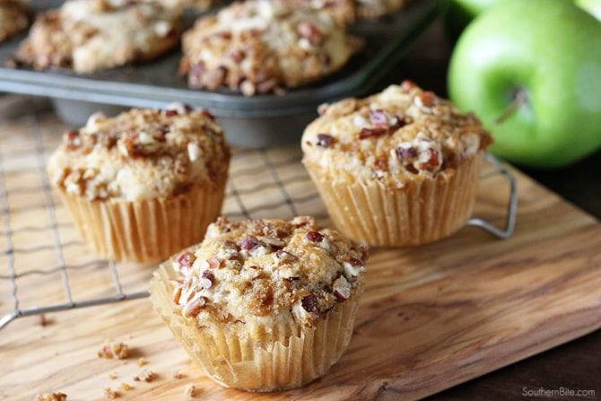 Apple Cinnamon Crunch Muffins - A quick and easy muffin that just tastes like fall! 