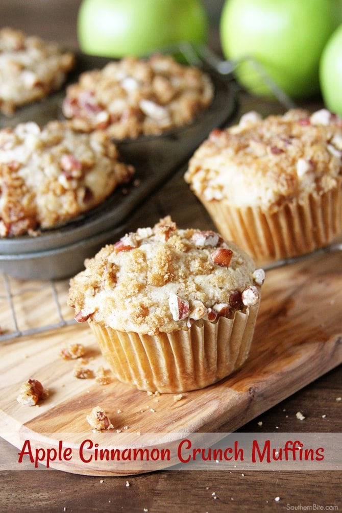 Apple Cinnamon Crunch Muffins - A quick and easy muffin that just tastes like fall!