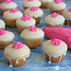 petite-cake-300