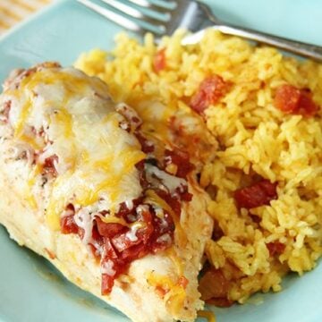 This Cheesy Salsa Chicken and Rice is the perfect one-dish meal. Prep and clean-up are a cinch and the flavors are amazing!