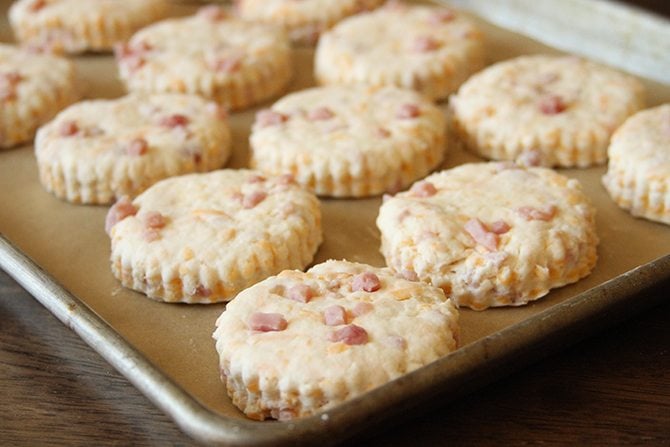 These Ham and Cheddar Biscuits are sure to be a favorite whether they end up being breakfast, lunch, dinner, or brunch! 