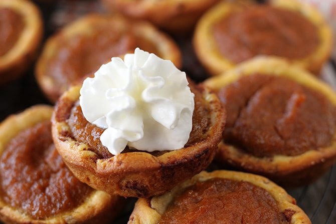 Cinnamon Roll Pumpkin Pie Bites with Whipped Cream.