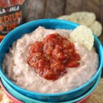 Three simple ingredients are all you need to create the easy and tasty Salsa Chicken Dip!