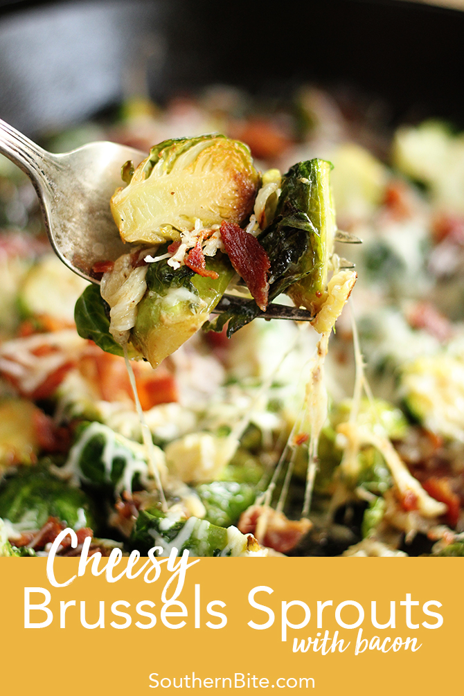 These Cheesy Brussels Sprouts with Bacon are so easy they're perfect for a busy weeknight but they taste so good they seem worthy of the holidays! It's the perfect recipe! 