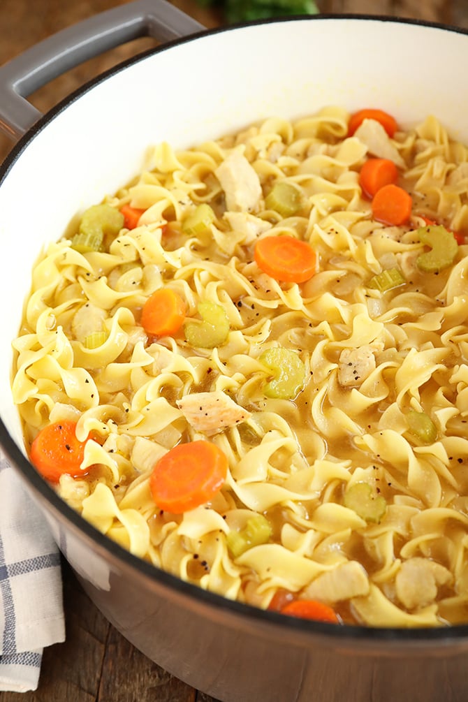 Chicken Noodle Soup in pot
