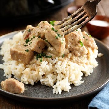Pork tips served over rice