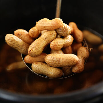 Scoop of Instant Pot Boiled Peanuts