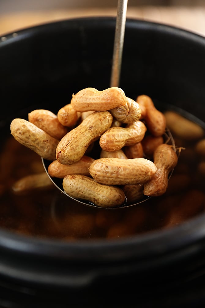 Scoop of Instant Pot Boiled Peanuts
