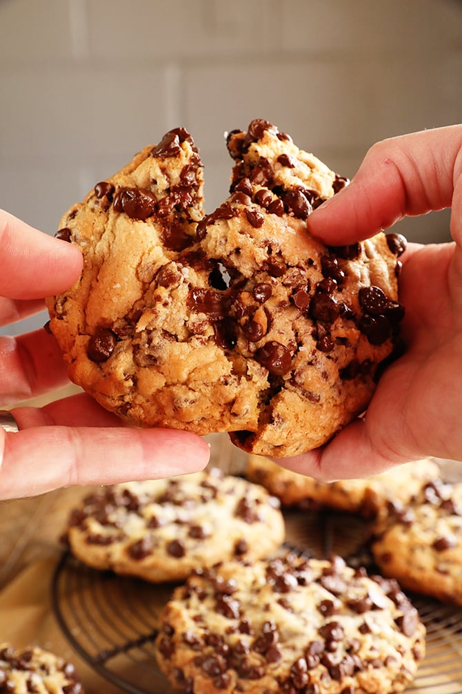 large chocolate chip cookie in hand