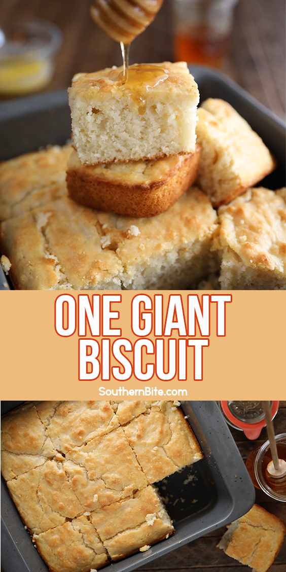 One Giant Biscuit baked in a baking dish