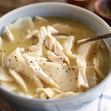Bowl of Southern Chicken and Dumplings