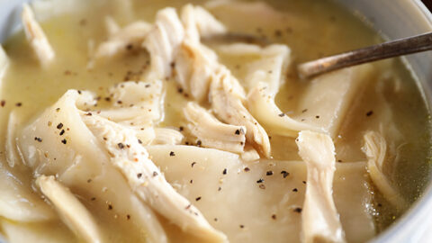 Bowl of Southern Chicken and Dumplings