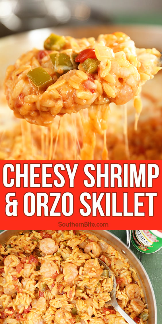 Spoonful of Cheesy Shrimp and Orzo Skillet with cheese pull - images for Pinterest