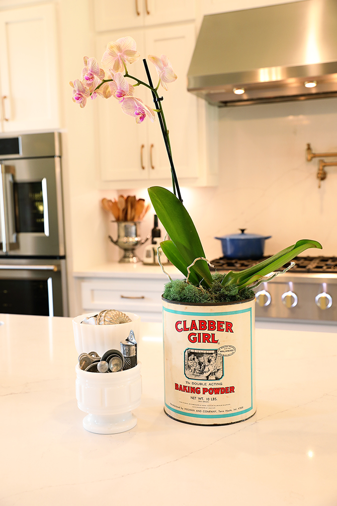 Orchid in can