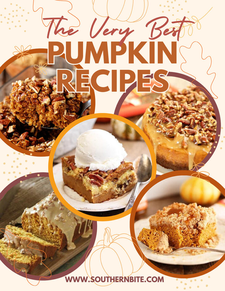 Best Pumpkin Recipes - image for Pinterest.